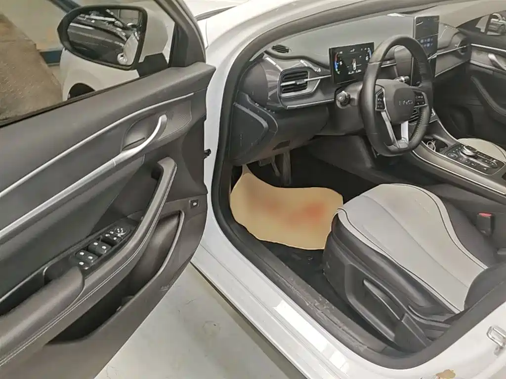 BYD Destroyer 05 2024 Glory Edition DM-i 55KM Luxury фото 16
