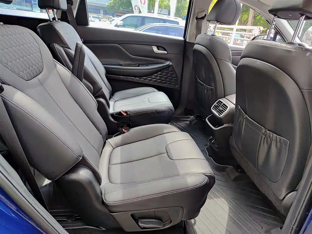 Hyundai Santa Fe 2020 380 TGDi Auto 2WD DLX Premium PLUS фото 11
