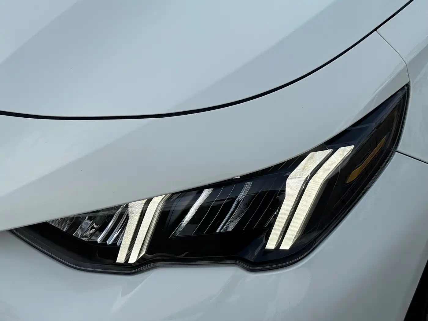 GAC SHADOW LEOPARD