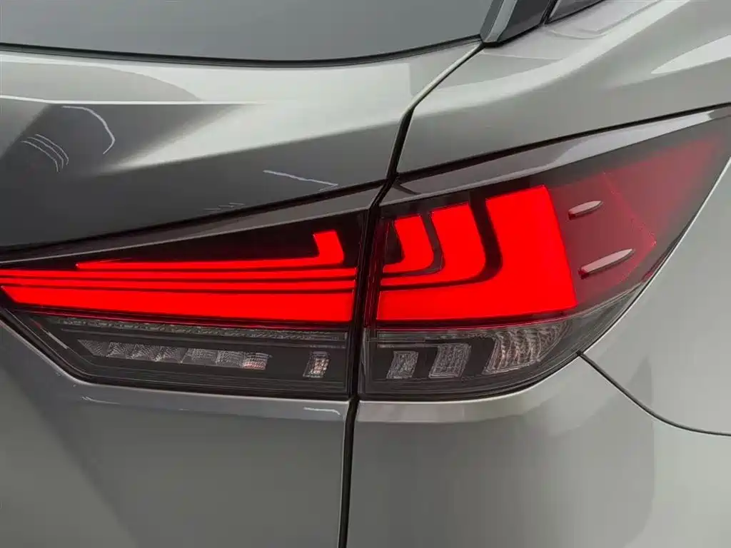 Lexus RX 2020 300 AWD Elegance Edition China V фото 18