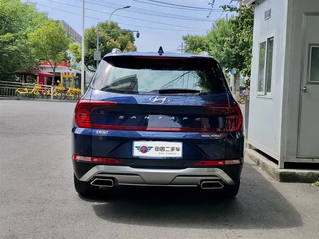 Hyundai Santa Fe 2020 380 TGDi Auto 2WD DLX Premium PLUS фото 5
