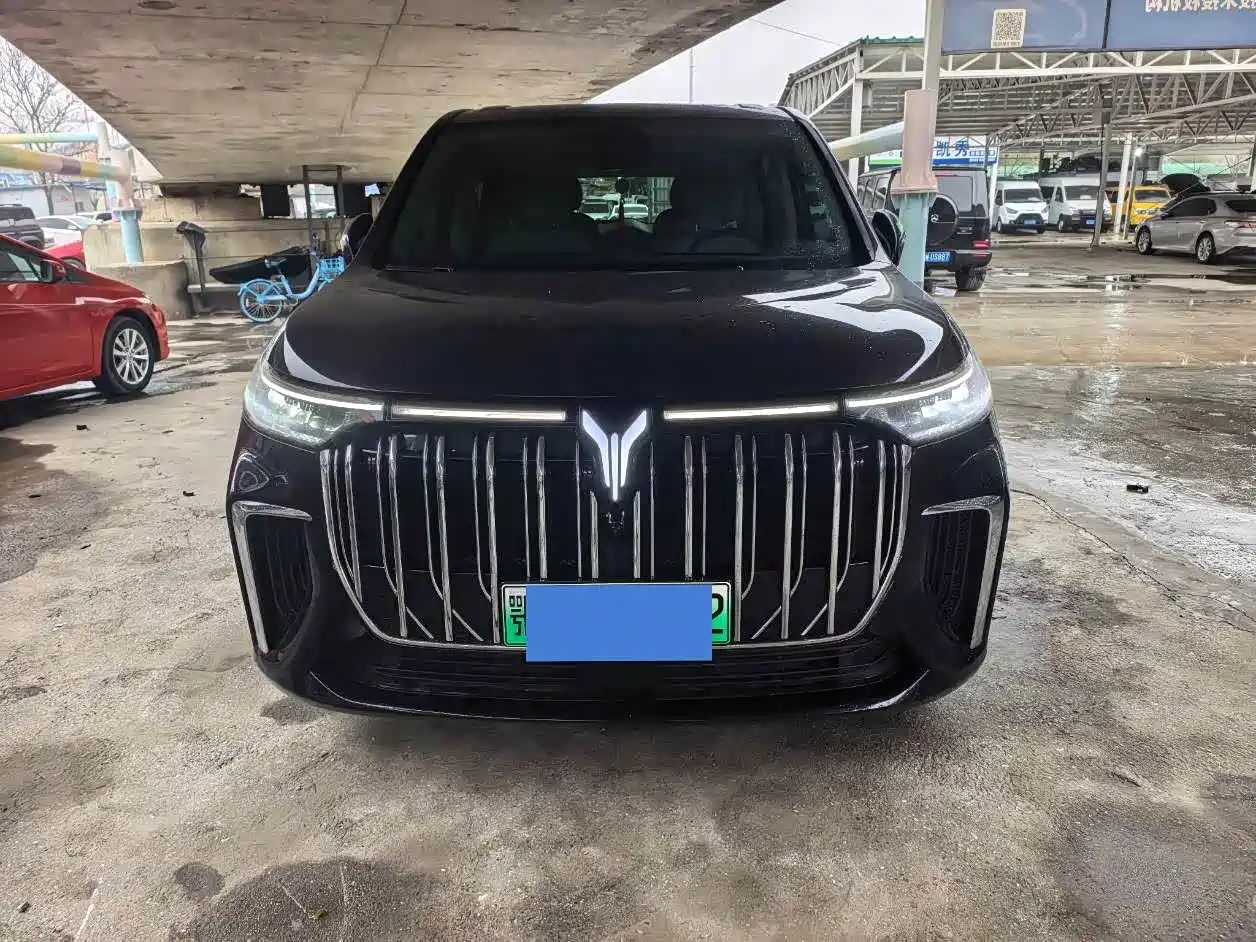 Voyah Auto Voyah Dreamer 2024 PHEV Extended Range Premium Edition фото 2