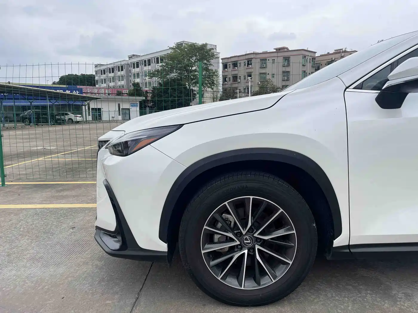 Lexus NX 2024 260 FWD Innovation Edition фото 4