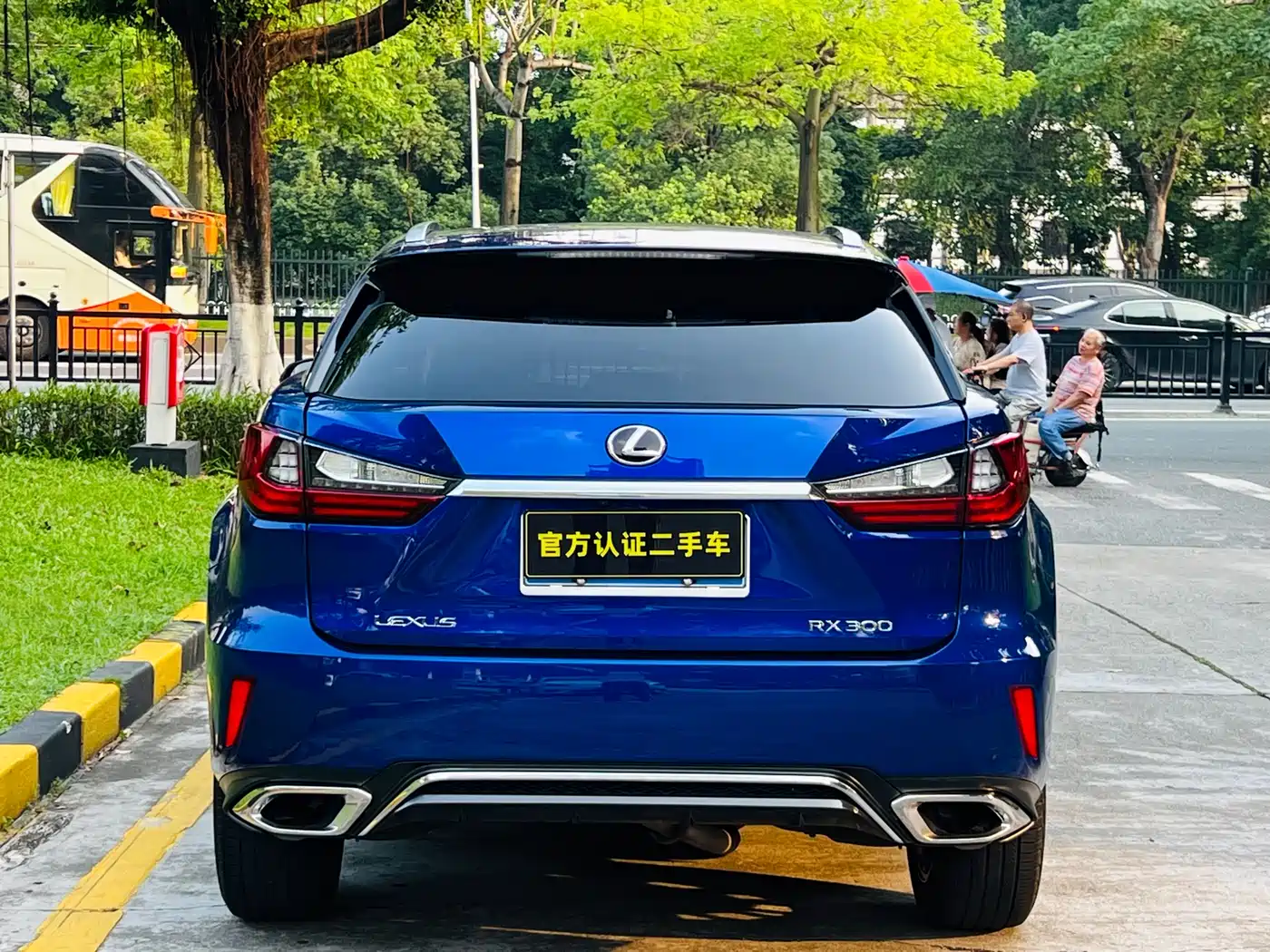 LEXUS RX