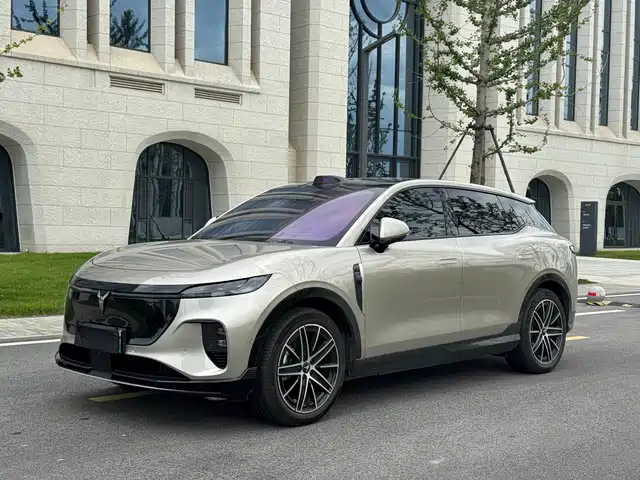 Voyah Auto Voyah Zhiyin 2025
