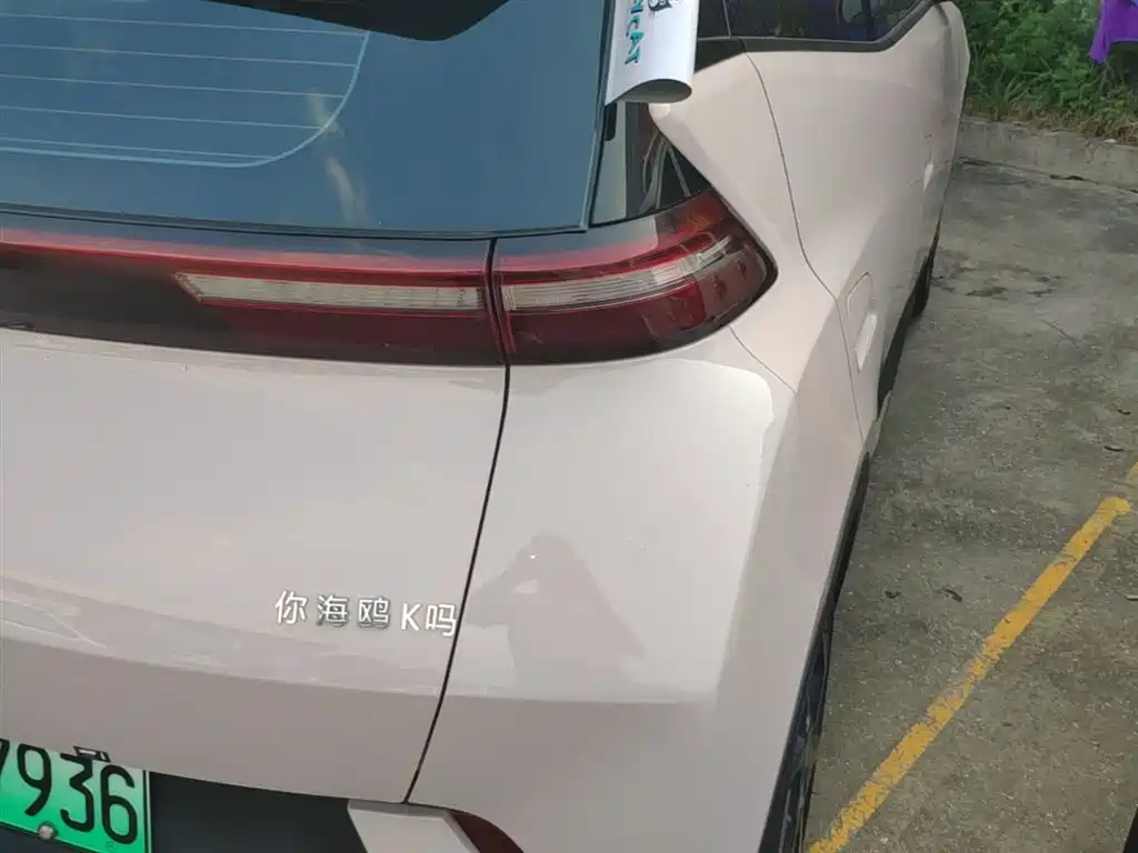 BYD Seagull 2024 Glory Edition 305km Freedom Edition фото 8