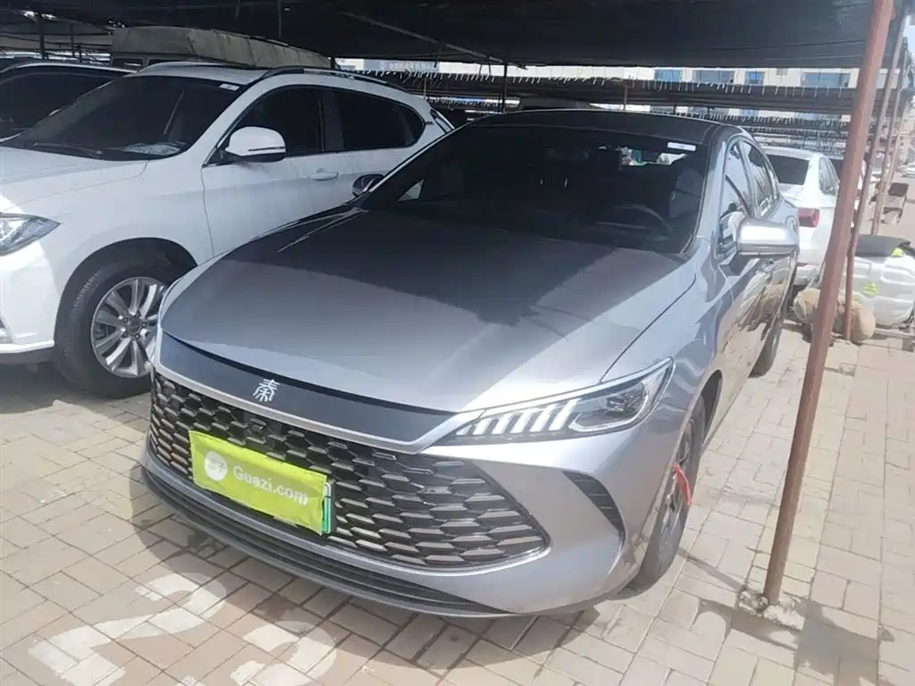 BYD Qin PLUS 2025 DM-i Smart Drive 55KM Leader