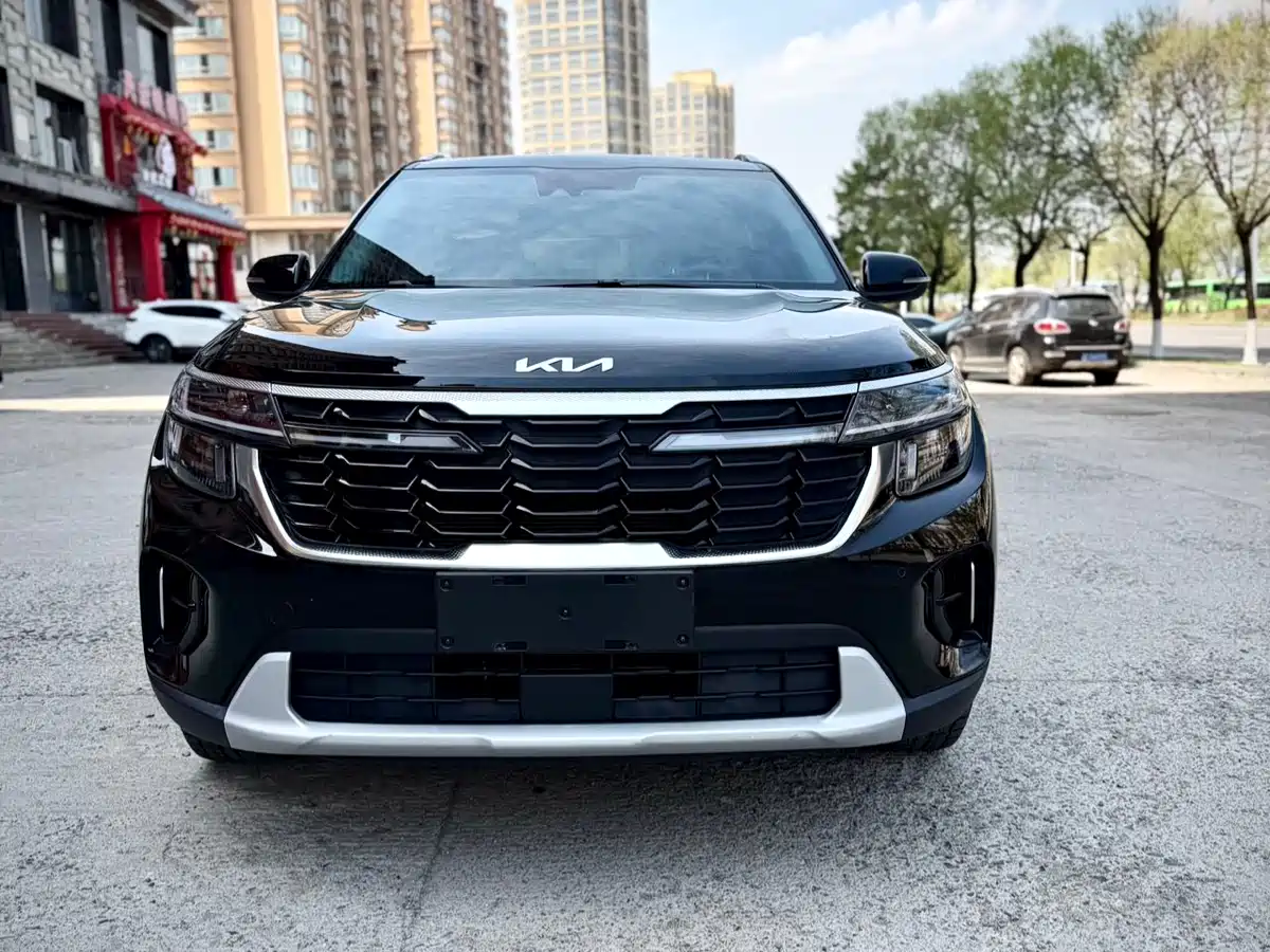 Kia Seltos 2023 1.5L CVT Luxury Edition фото 2