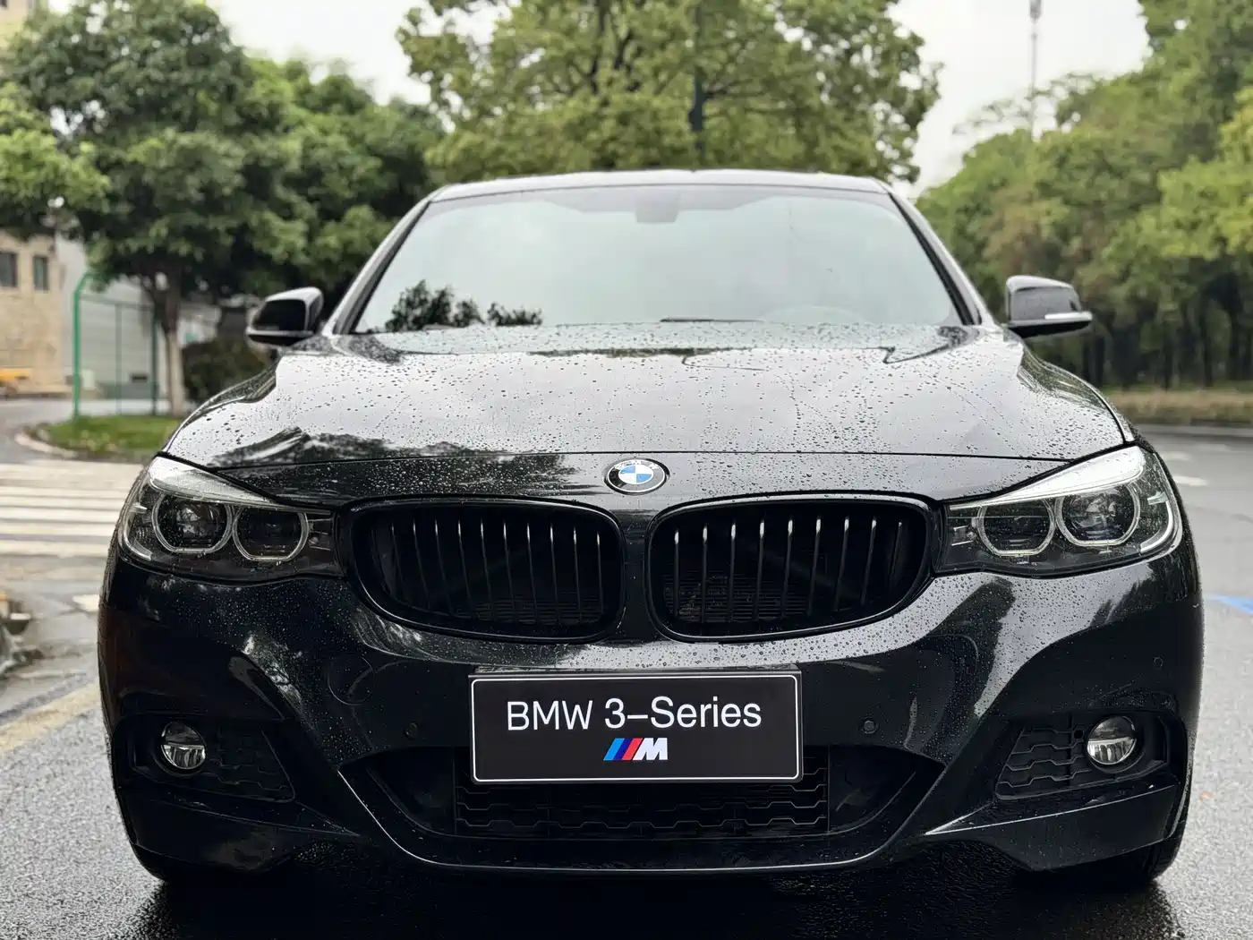 BMW 3 Series GT 2018 330i xDrive M Sport фото 2
