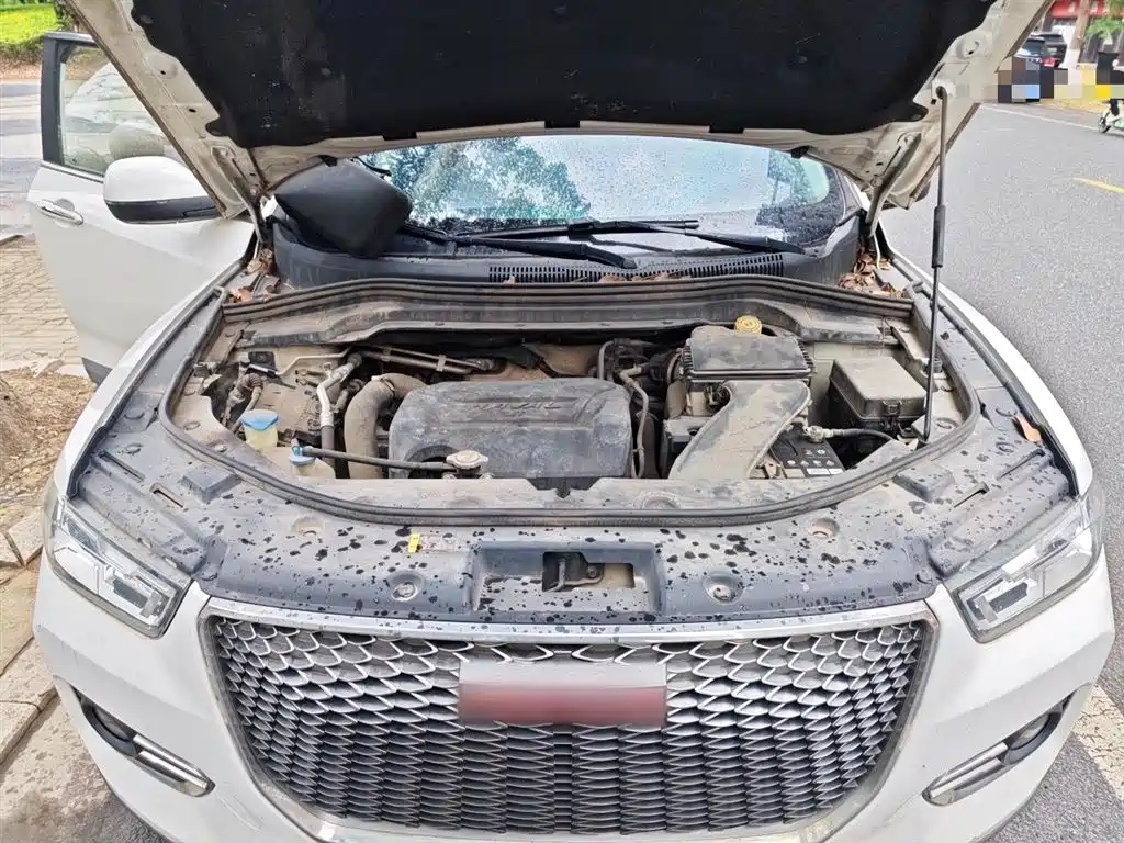Haval H2s 2018 Red Label 1.5T DCT Smart Elite Type фото 11