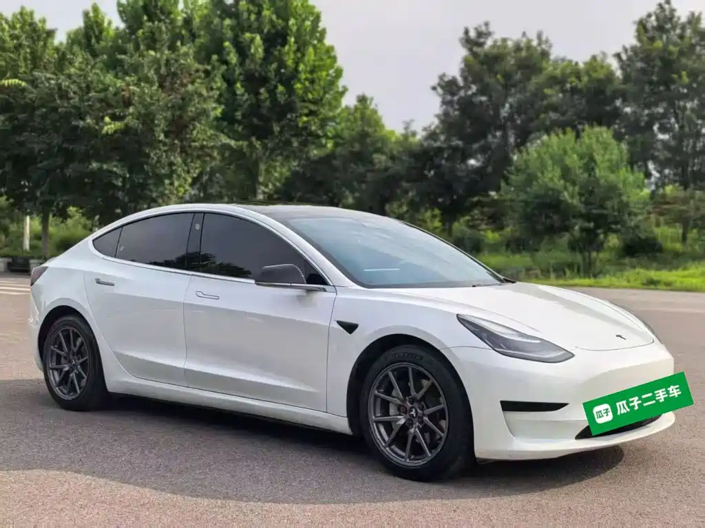 Tesla Model 3 2020 2020 Standard Range Rear-Wheel Drive Upgrade