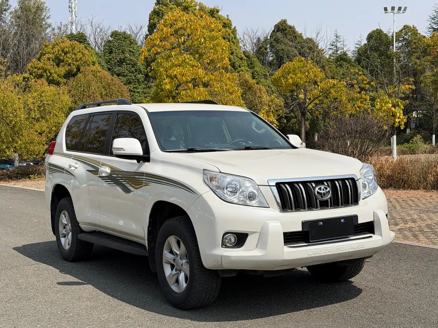 Toyota Prado (Import) фото 3