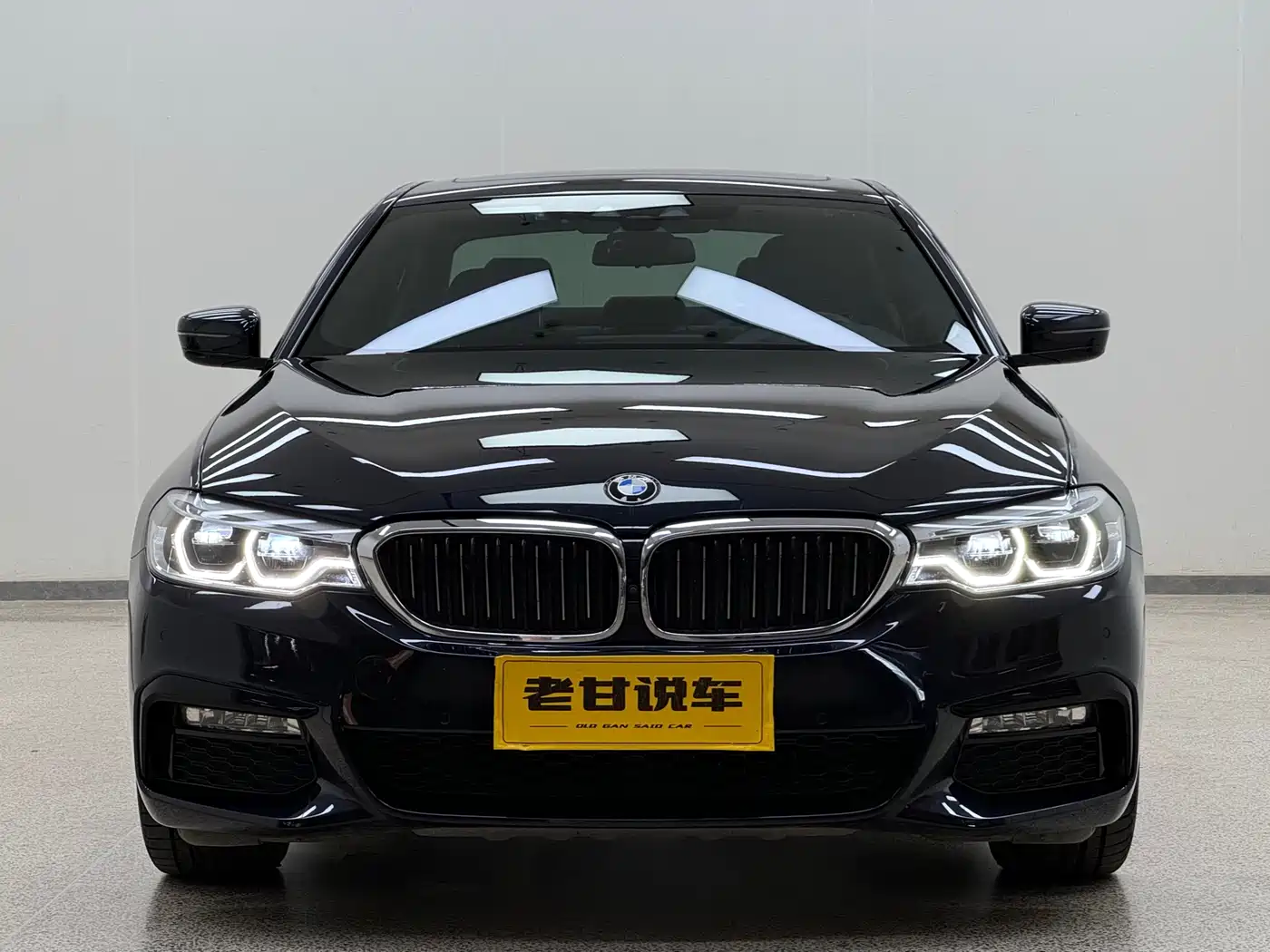 BMW 5 Series (Import) 2019 530i M Sport Package фото 2