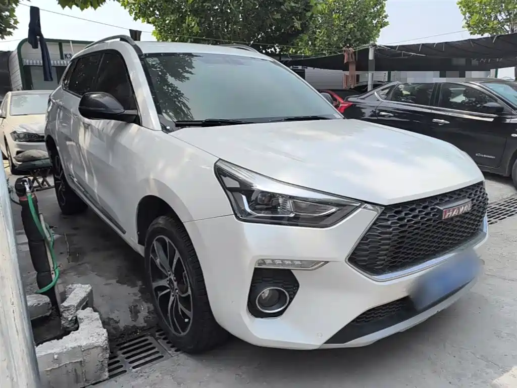 Haval H6 Coupe 2018 Red Label 1.5T Auto 2WD Ultra Luxury фото 4