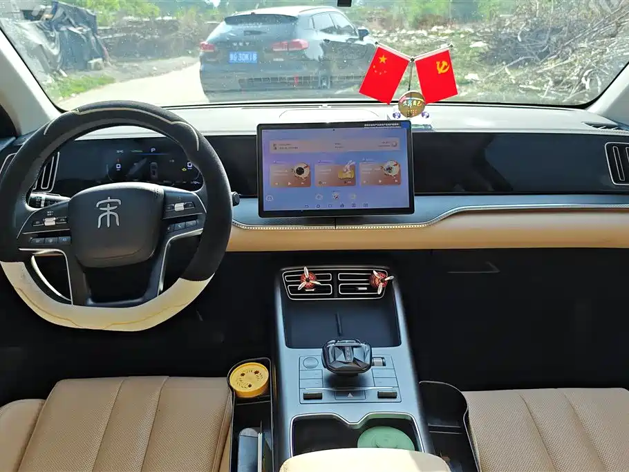 BYD Song Pro New Energy 2025 2nd Gen DM-i 75KM Surpass фото 12