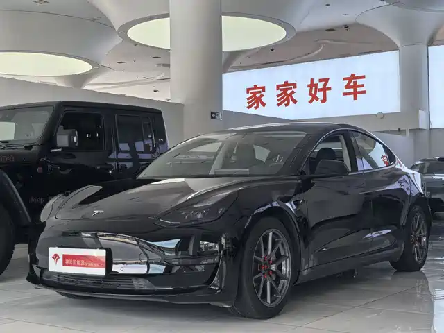 Tesla Model 3 Задний привод