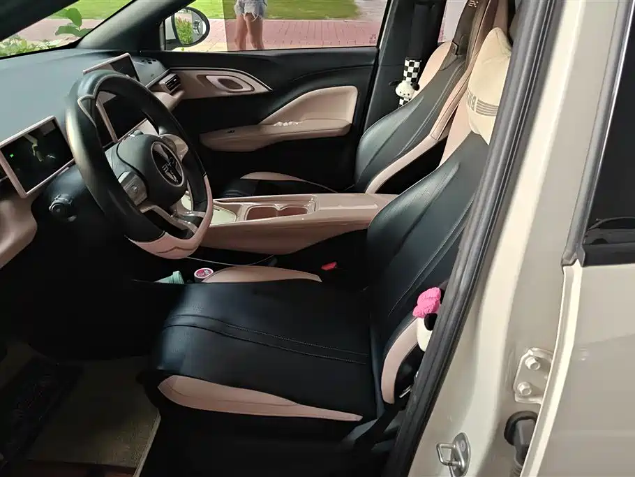 BYD Seagull 2024 Glory Edition 305km Vitality Edition фото 9