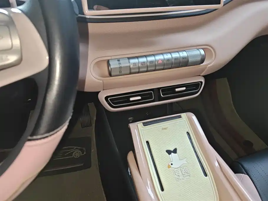 BYD Seagull 2024 Glory Edition 305km Vitality Edition фото 16