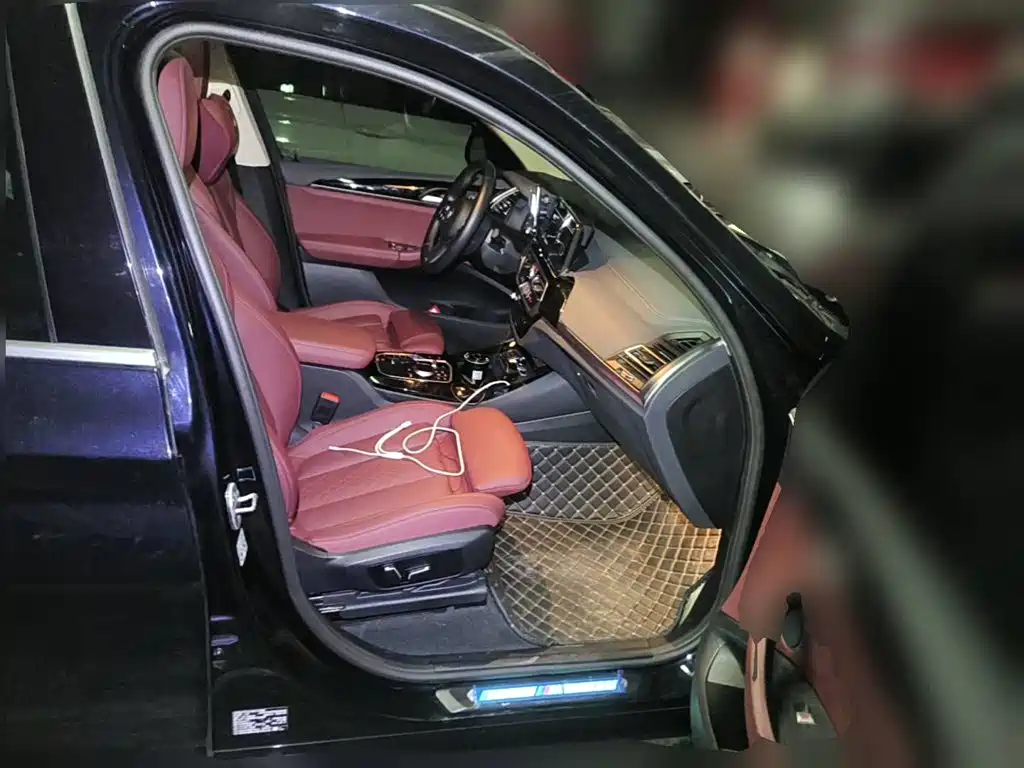 BMW iX3 2024 2024 Leading Edition