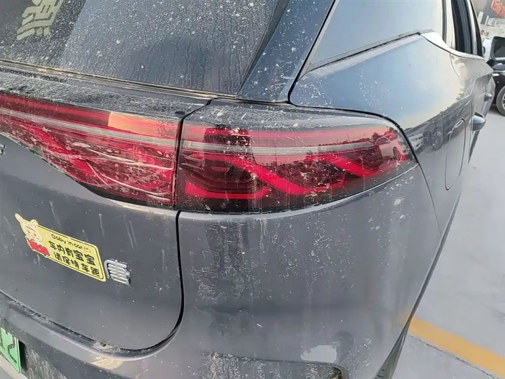BYD Tang New Energy 2024 DM-i Honor Edition 112KM Premium фото 8