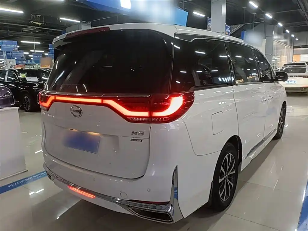 GAC Trumpchi Trumpchi M8 2021 Leading Show Series 390T Luxury Edition фото 7