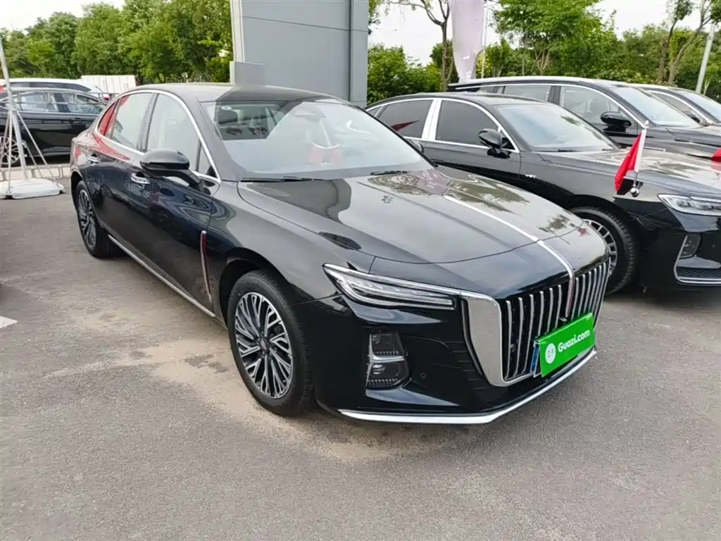 Hongqi H5 2025 2.0T Automatic Flag Celebration 500,000 Units Anniversary Edition фото 4