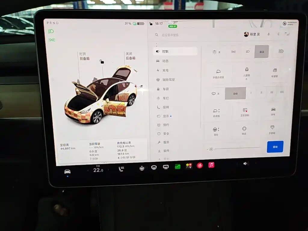 Tesla Model Y 2021 2021 Standard Range Rear-Wheel Drive