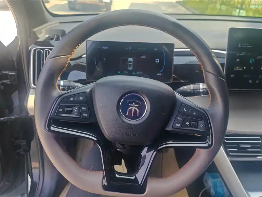 BYD Song Pro New Energy 2024 Glory Edition DM-i 71KM Pilot фото 15
