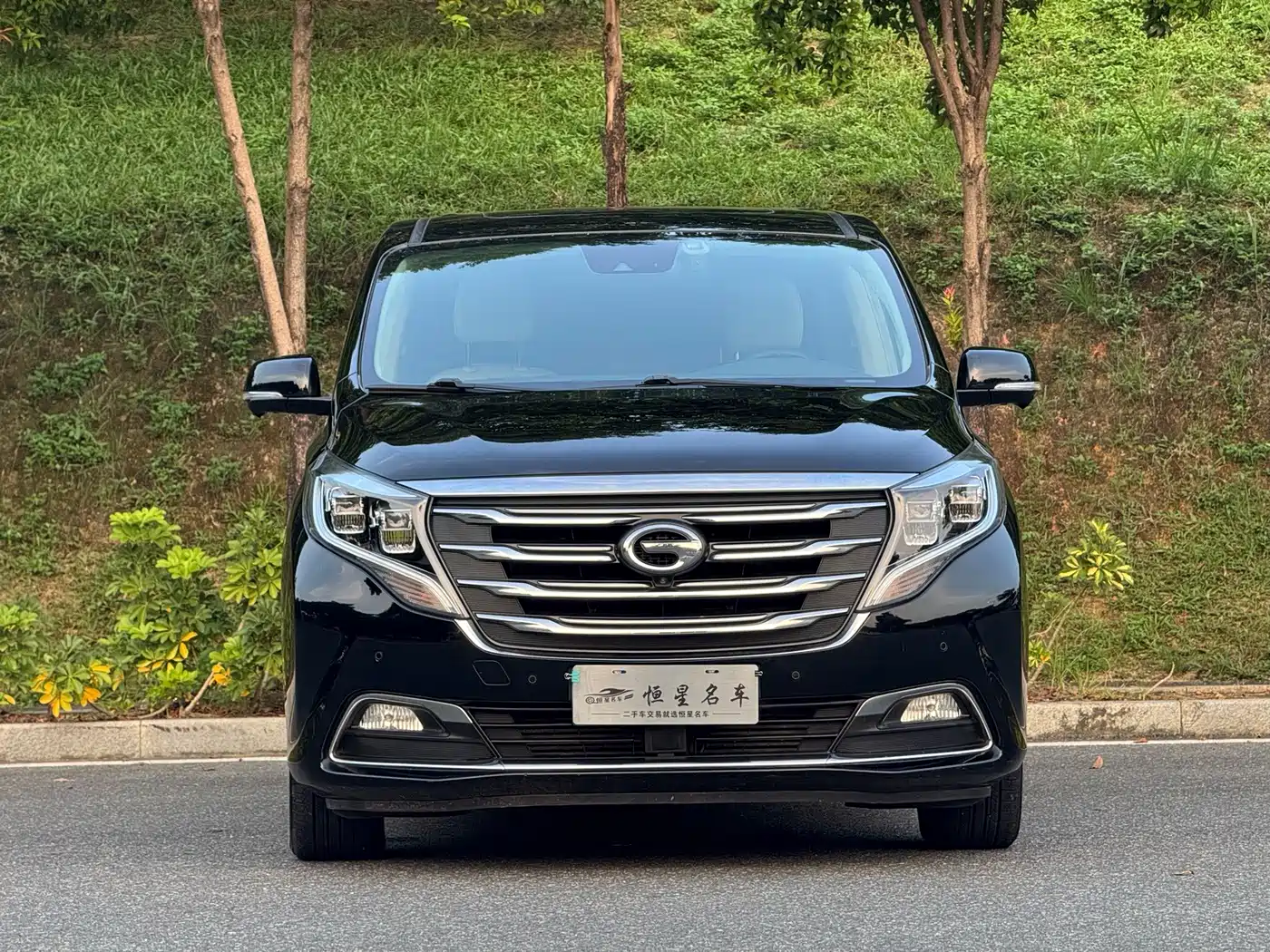 GAC Trumpchi M8 2018 2018 320T Flagship Edition