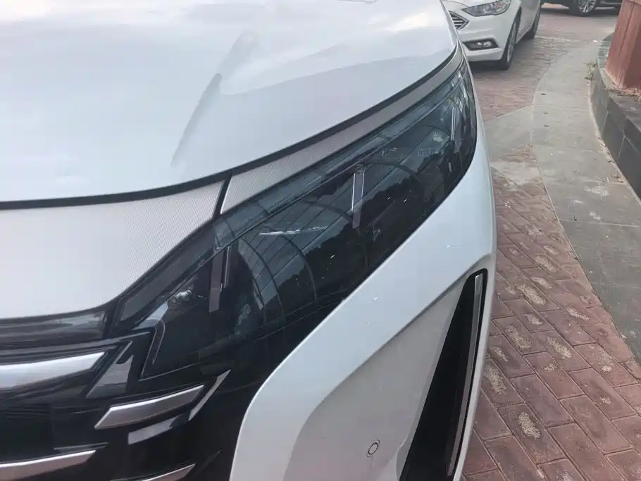 BYD Xia 2025 2025 DM-i 1.5T 100km Surpass Edition