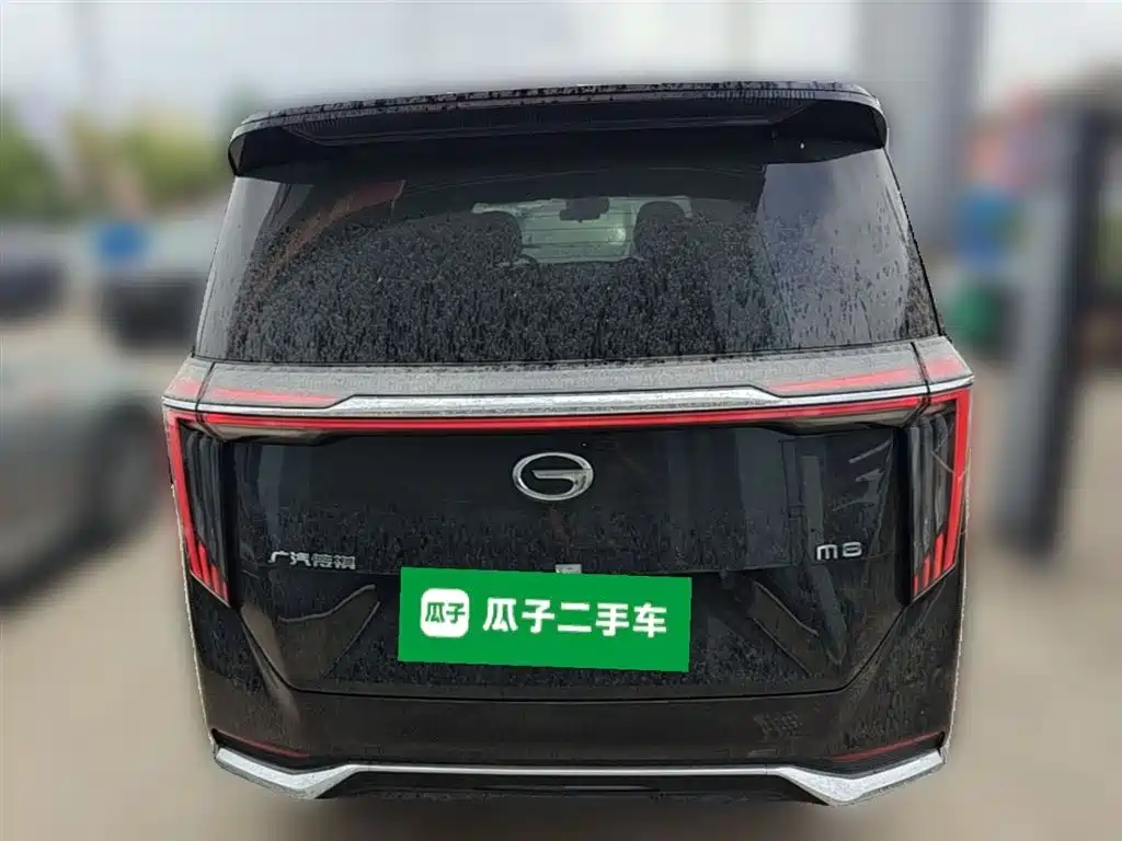 GAC Trumpchi Trumpchi M8 2024 Master Series 400T Premium Edition фото 10