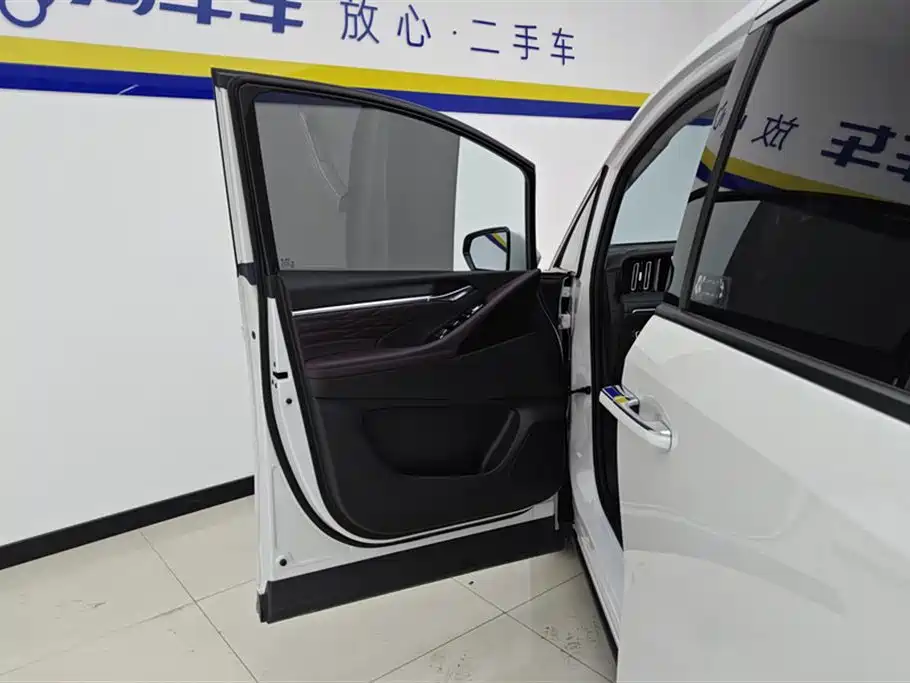 GAC Trumpchi Trumpchi M8 2024 Master Series 400T Premium Edition фото 7
