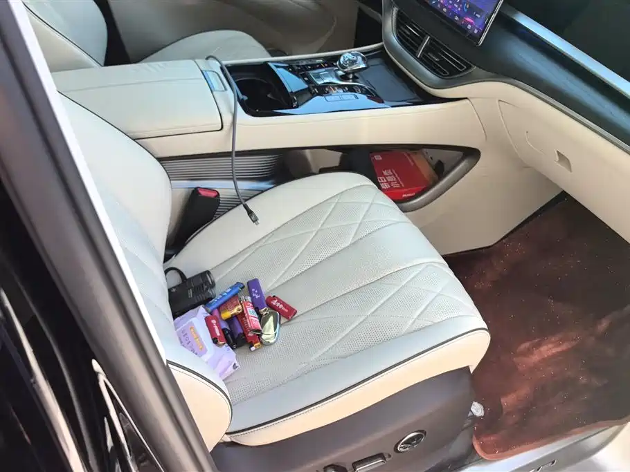 Denza D9 2024 DM-i 980 AWD Prestige фото 8