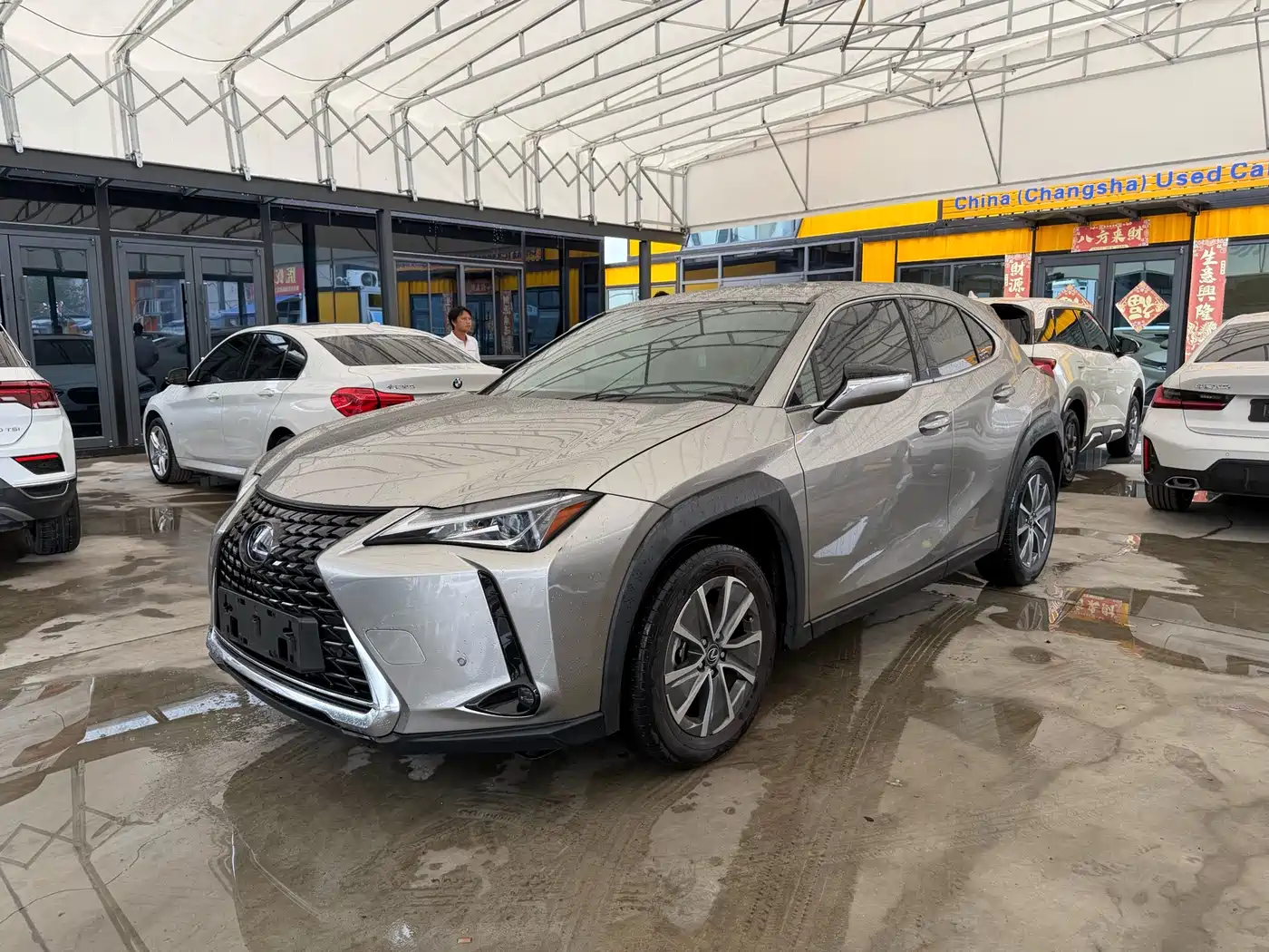 Lexus UX Electric 2021 2020 300e Pure Yue Edition
