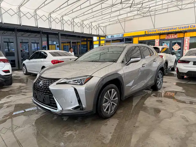 Lexus UX Electric 2021