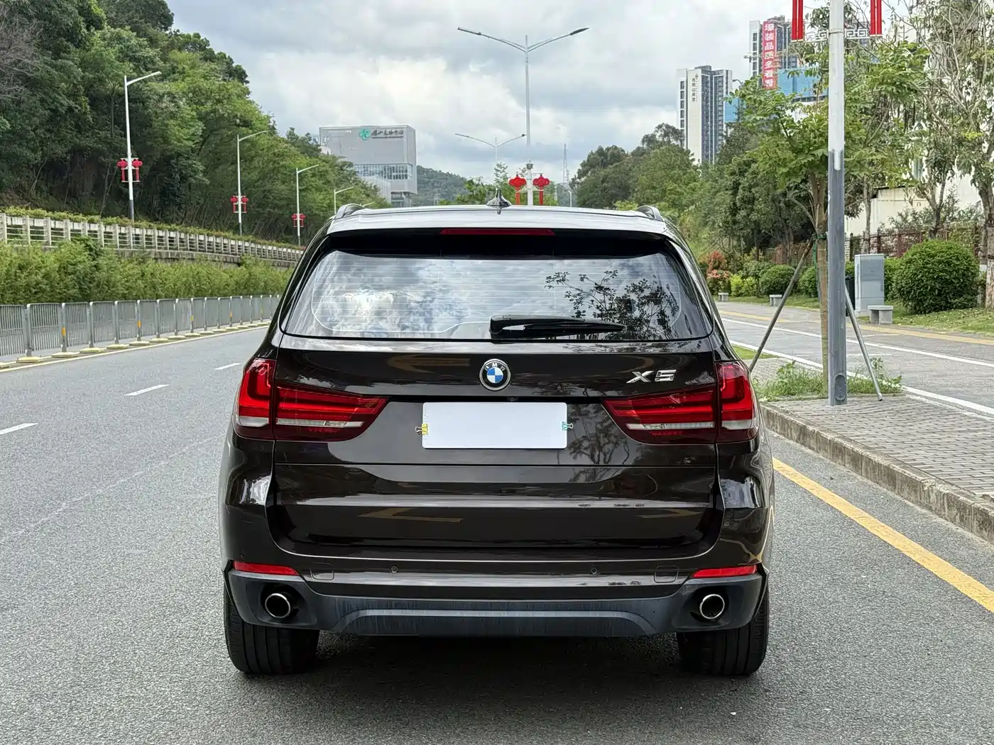 BMW X5 (Import) 2014 xDrive35i Elegance фото 6