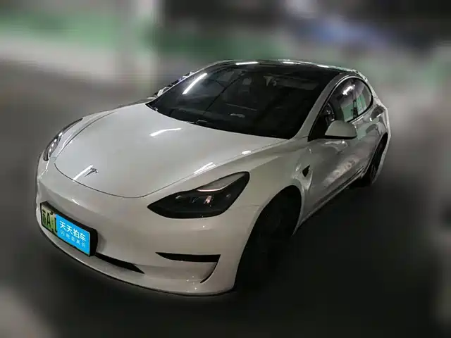 Tesla Model 3 2021 Standard Range Rear-Wheel Drive Upgrade — фото 1