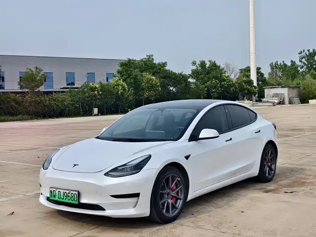 Tesla Model 3 2022 Model Rear-Wheel Drive Version