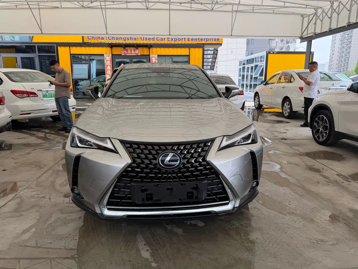 Lexus UX Electric 2021 2020 300e Pure Yue Edition