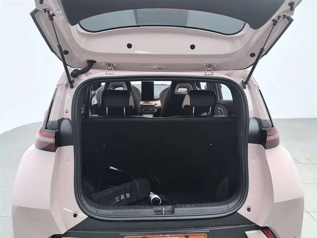 BYD Seagull 2025 305km Vitality фото 16