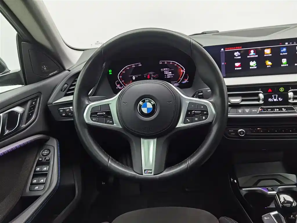 BMW 2 Series (Import) 2023 225i 4-Door Coupe M Sport Shadowline Package фото 11