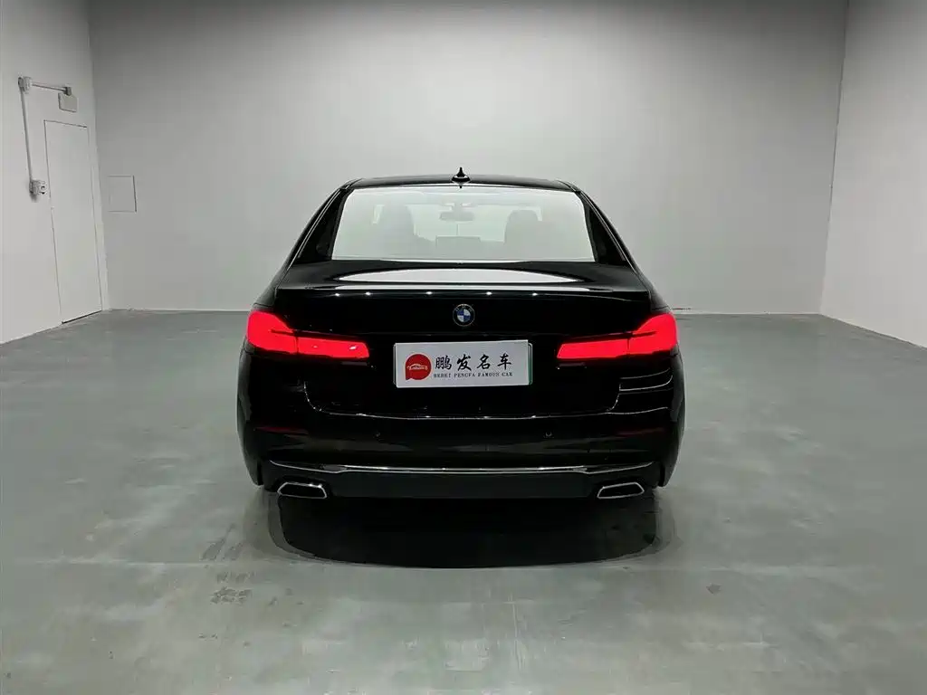 BMW 5 SERIES NEW ENERGY