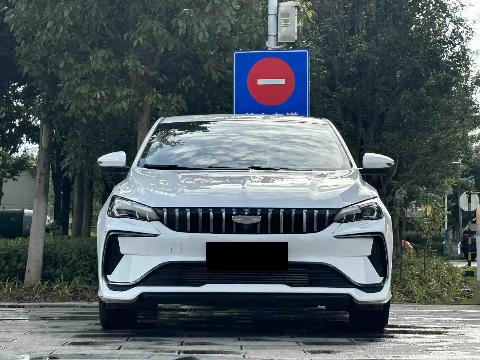 Фото 2 - Geely Binrui