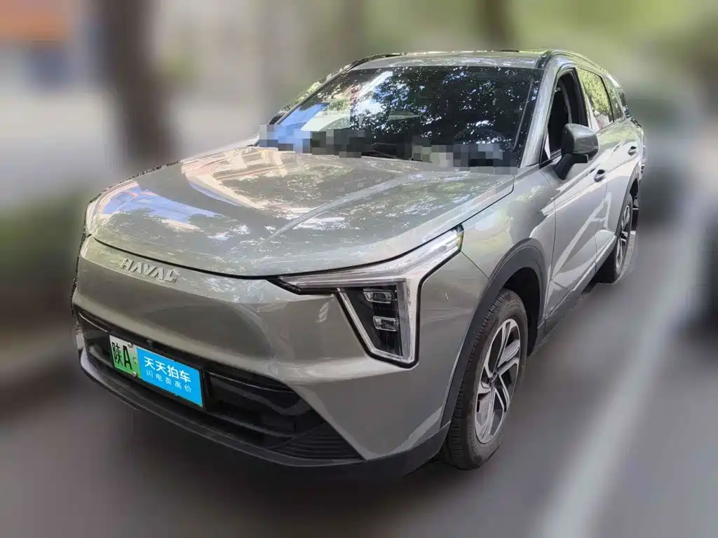  Haval Haval Xiaolong 2023 1.5L 110KM Leading Edition