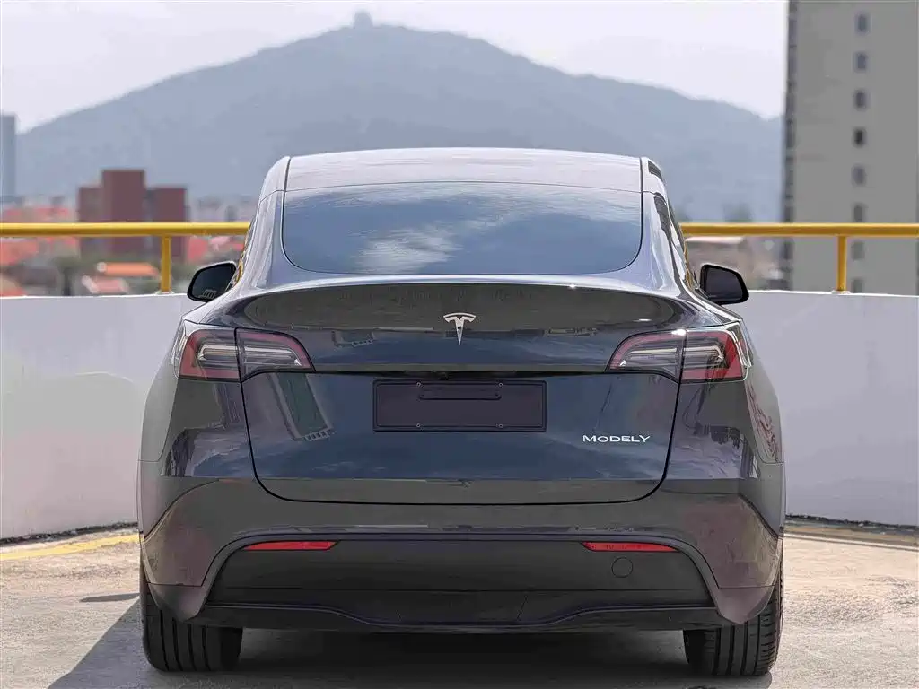 Фото 5 - Tesla Model Y