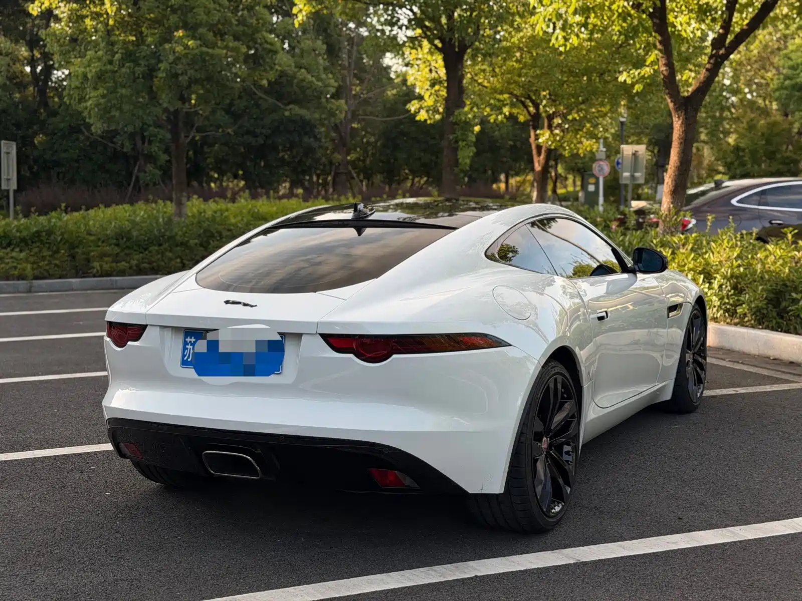 Фото 10 - Jaguar F-TYPE