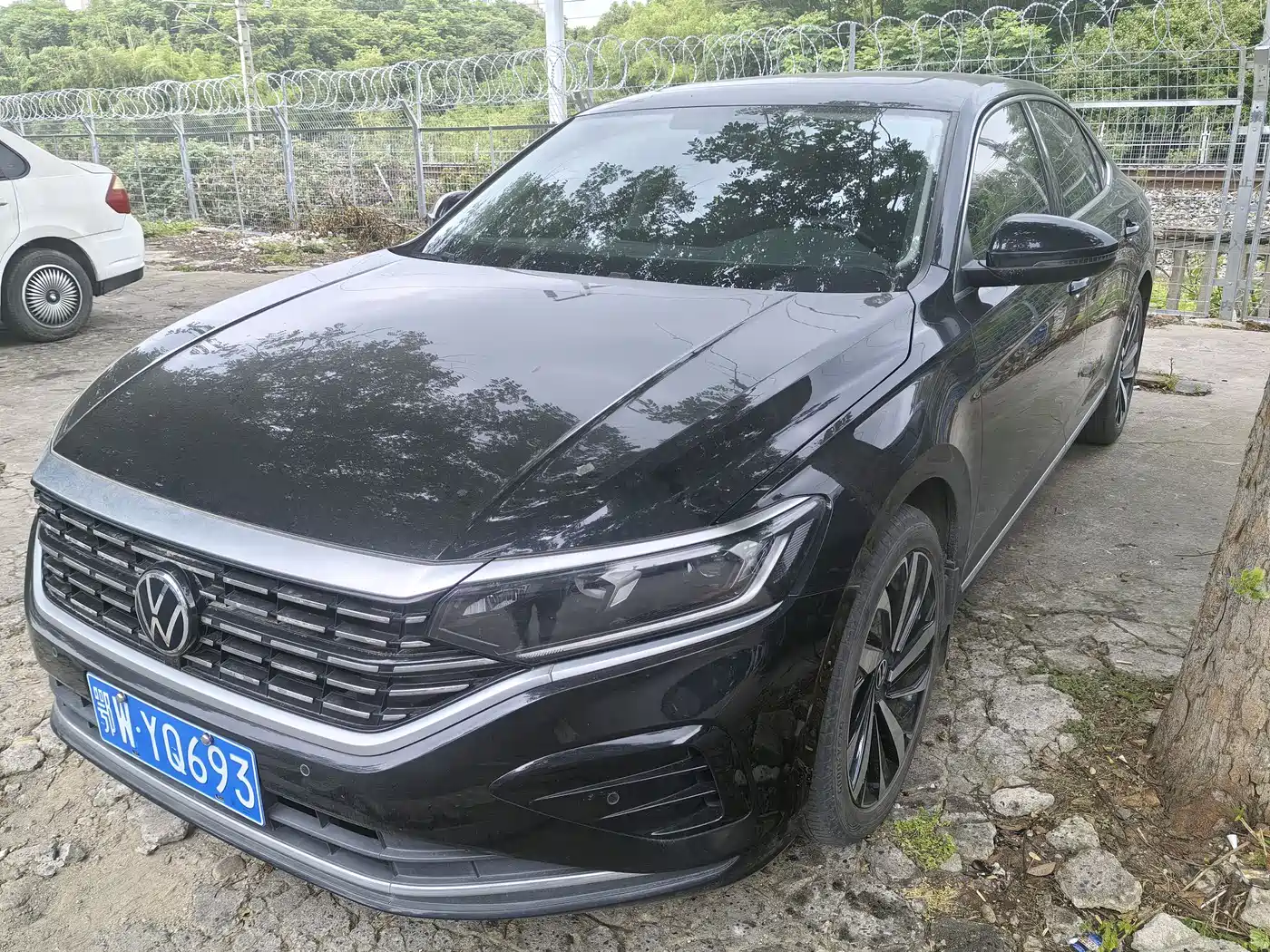 Volkswagen Passat 2023 330TSI Elite Edition фото 3