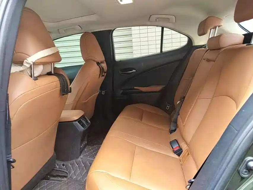 Lexus UX Electric 2022 2020 300e Pure Yue Edition