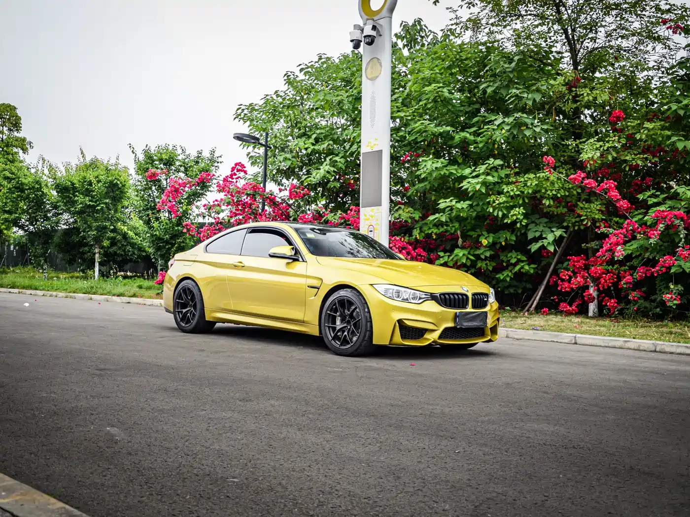 BMW M4 2014 M4 Coupe фото 3