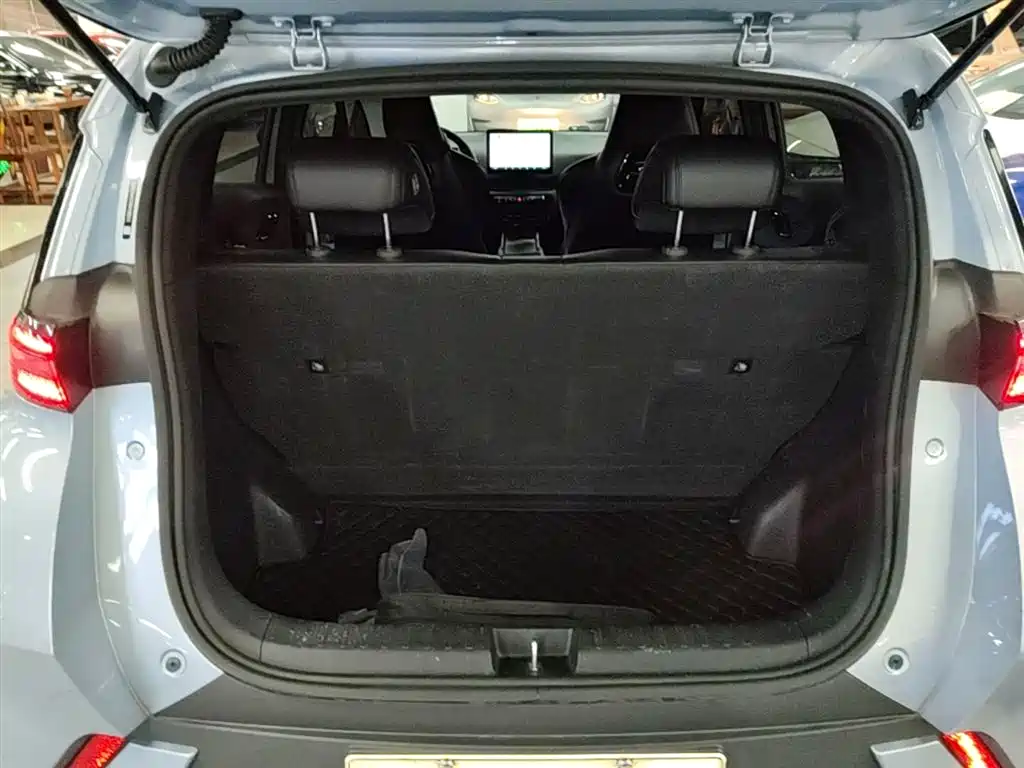 BYD Seagull 2024 Glory Edition 305km Vitality Edition фото 19